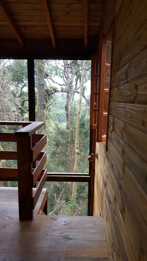 巨嘴鸟山林小屋 Campos do Jordão 外观 照片